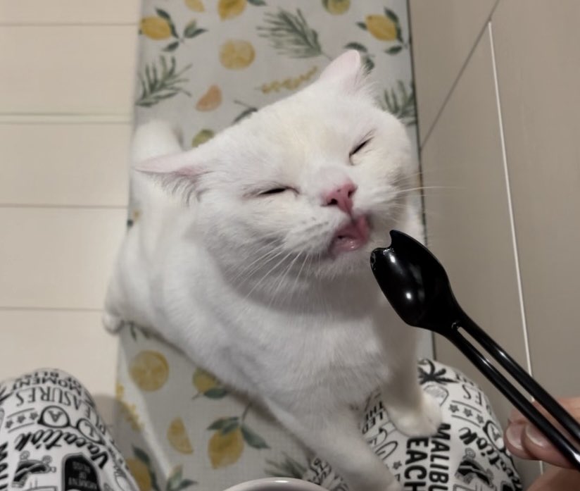 ←「ごはーん‼️」

→うんまっ
#กันสมาย
#Hareemshah
#박정우랑같이비긴어게인