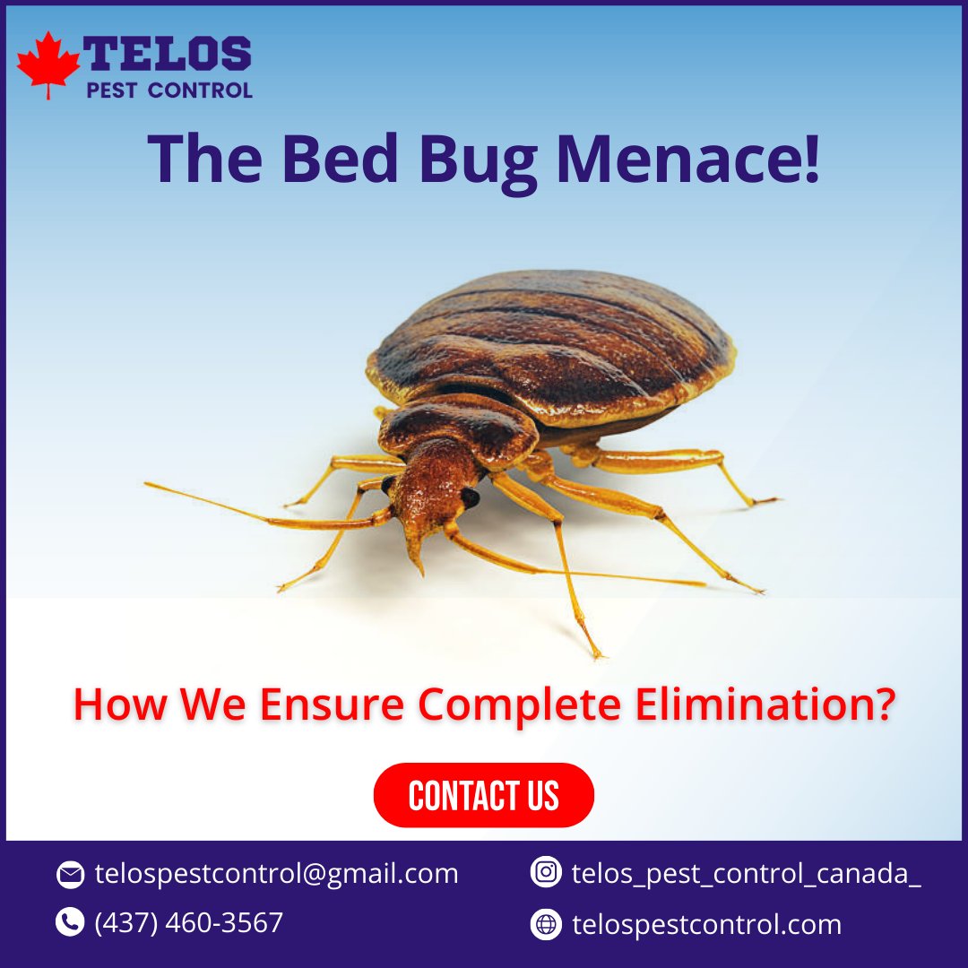 Bed Bug Menace!!
Free Tips:  telospestcontrol.com/how-to-find-th…
#bedbugcontrol #BedBugSolutions #bedbugfree #pestfreetoronto #torontobugs #pestcontrol #BedBugInfestation #bedbugremoval #bedbugcontrolnearme #pestcontrolnearme #bedbugcontroltoronto #torontoexterminators