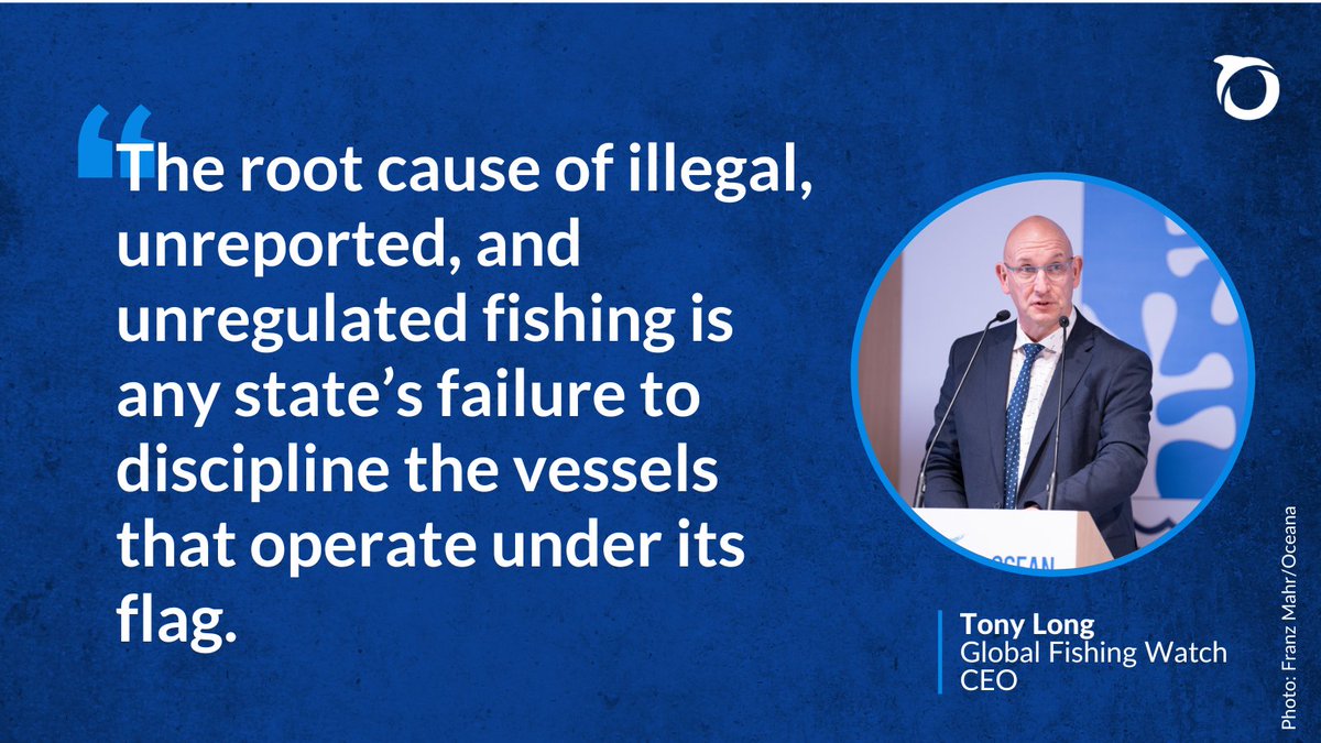 oceana's tweet photo. Illegal, unreported, &amp; unregulated fishing is a major problem for fish and our oceans. That’s why Oceana helped found @GlobalFishWatch, alongside @Skytruth and @Google to increase ocean transparency and help #StopIllegalFishing! @OurOceanGreece #OurOceanGreece #OurOcean2024 https://t.co/I5WotZqc8s
