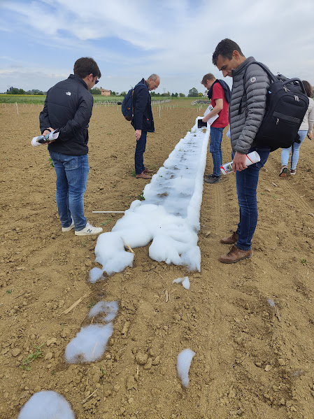 AgroNewsCV's tweet photo. 🗣️PROYECTO #CONSERWA | Reunión en Bolonia del proyecto europeo en el que participa @UnioLlauradora cuyo objetivo es testear la mejores técnicas de escarda en el sector agroecológico. Hemos visto un novedoso método de escarda basado en la aplicación en campo de espuma caliente https://t.co/tqfKGEecrz