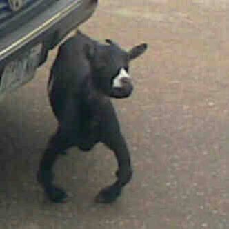 Olamzyy_'s tweet photo. Baddy of lasu                                  ??? https://t.co/KZw2G4jD5b
