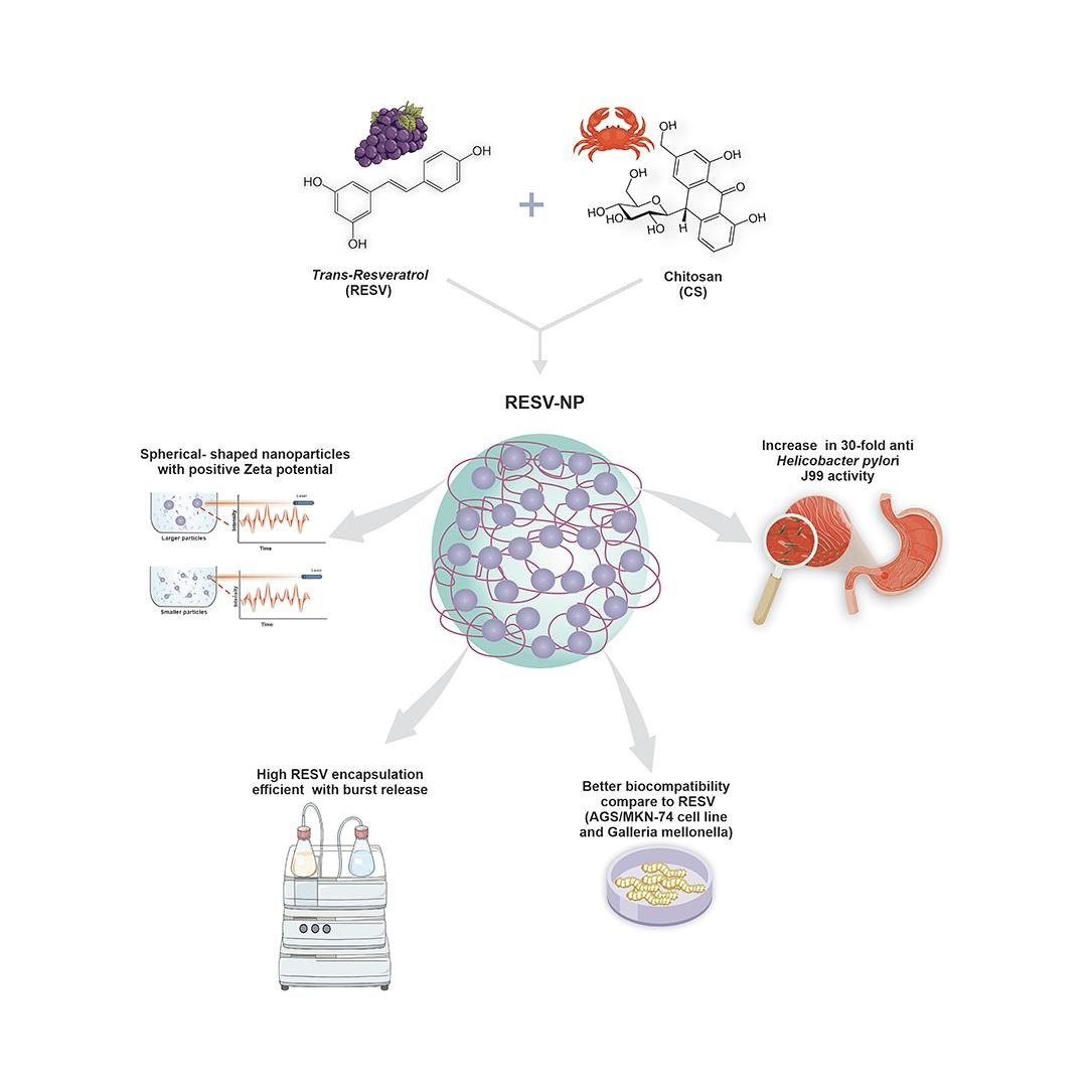 #Chitosan #nanoparticles loaded with trans-resveratrol effectively combat H. pylori, offering a safe oral therapy option for associated gastric disorders. #HPylori #gastricdisorders
➡️Free access until 4 June
#Research #PharmaTwitter #MedTwitter authors.elsevier.com/a/1ix7P3Lfa-QP…