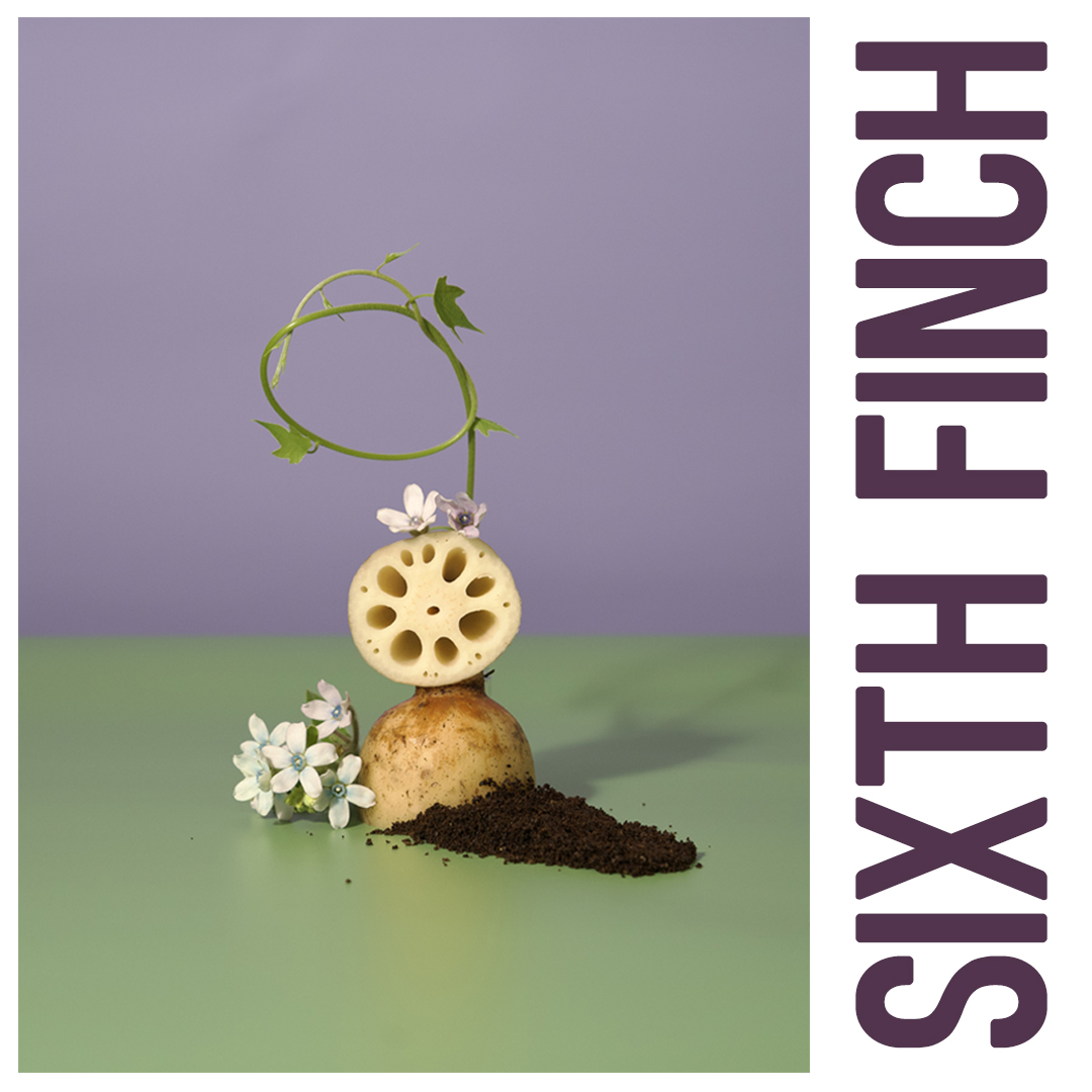 SixthFinch's tweet image. Our spring issue is now live: sixthfinch.com
Featuring @MaryByrnski @thebluepitcher @robcolgate @satya043 @bexklaver @aredamnhoj @DishwasherCafe @rajivmohabir @darkwebtofu @grasoceng @jksweeneypoet @alex_tretbar @JeffWhitney2 @artlcd @matthewklane @yurtingaround and more