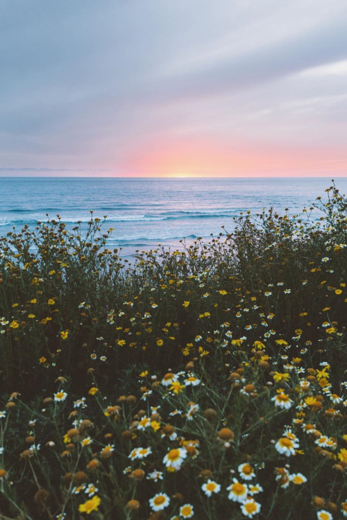 “It's enough for me to be sure that you and I exist at this moment.” ~ Gabriel García Márquez 06.03.1927 - 17.04.2014 · © Ravi Vora / IG