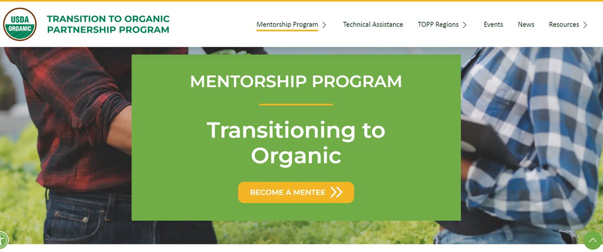 NCSUorganic (@ncsuorganic) on Twitter photo There is a mentorship program currently available for #organic and transitioning organic producers in the #Southeast. Mentors can receive compensation and mentees can receive training & funds for attending related workshops or conferences. More info here: organiccommodities.ces.ncsu.edu/2024/04/southe… There is a mentorship program currently available for #organic and transitioning organic producers in the #Southeast. Mentors can receive compensation and mentees can receive training & funds for attending related workshops or conferences. More info here: organiccommodities.ces.ncsu.edu/2024/04/southe…