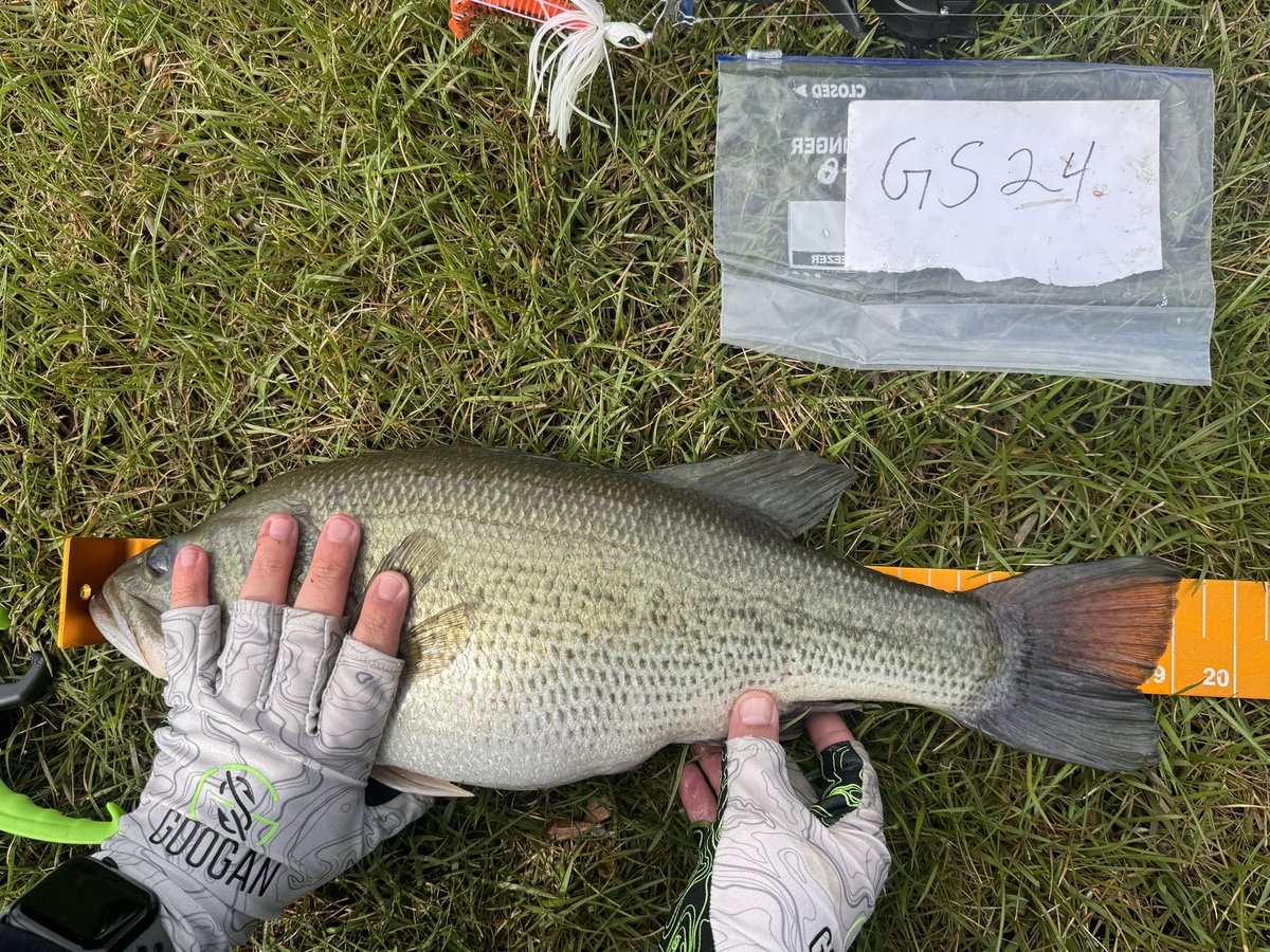 Monoxide tweet media