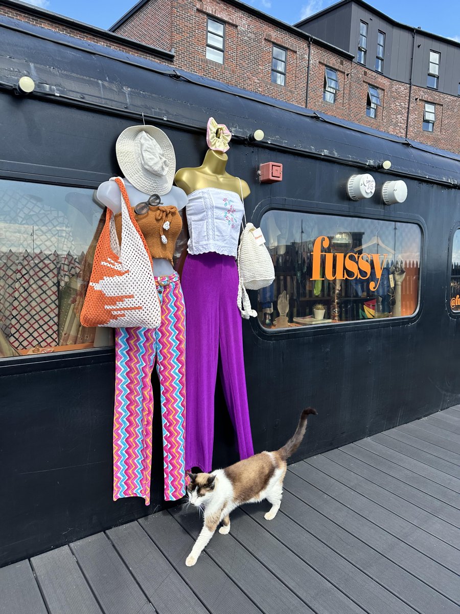 Animals welcome, preferably cats.