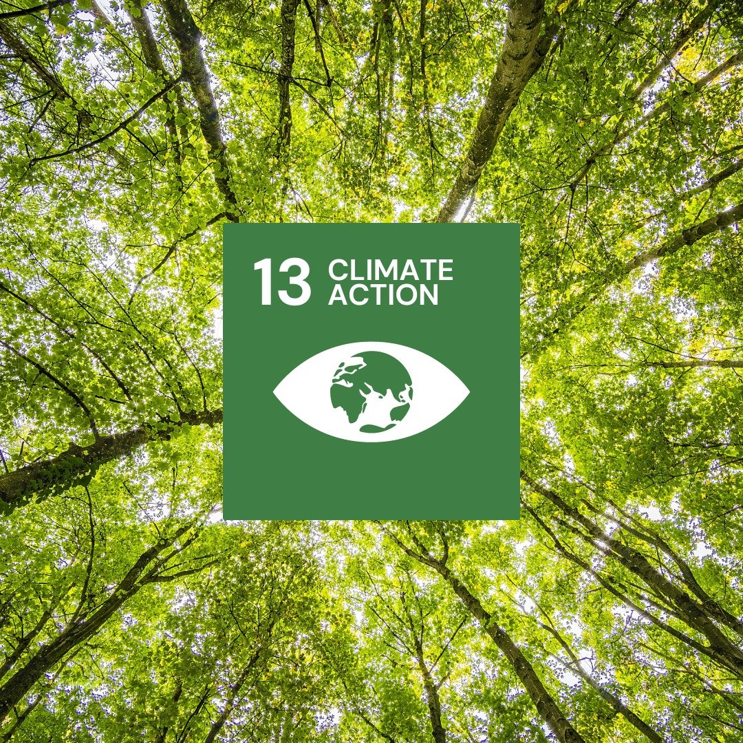 Developed nations in accordance with Kyoto protocol raises 💲 100B in a bid to help with mitigation of affects of climate change in the developing nations. However, to some extent this is not enough. #FixTheFinance Tracking Climate Finance @ActionAid @ActionAid_Kenya…