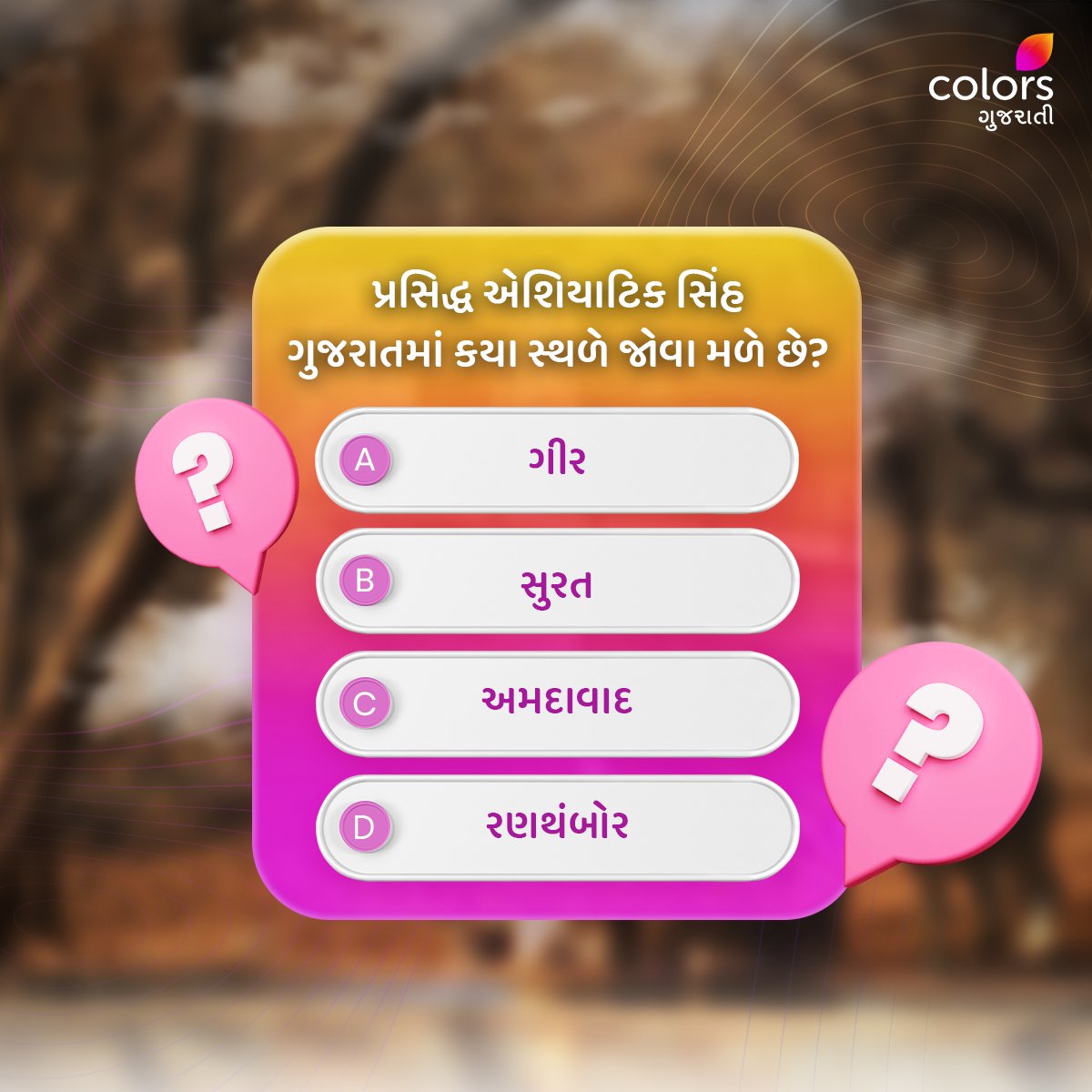 ગુજરાતના કયા સ્થળે એશિયાટિક સિંહ જોવા મળે છે🤔? Comment માં જણાવો.👇 

#Colorsgujarati #Gujarat #Quiz #Facts #generalquiz