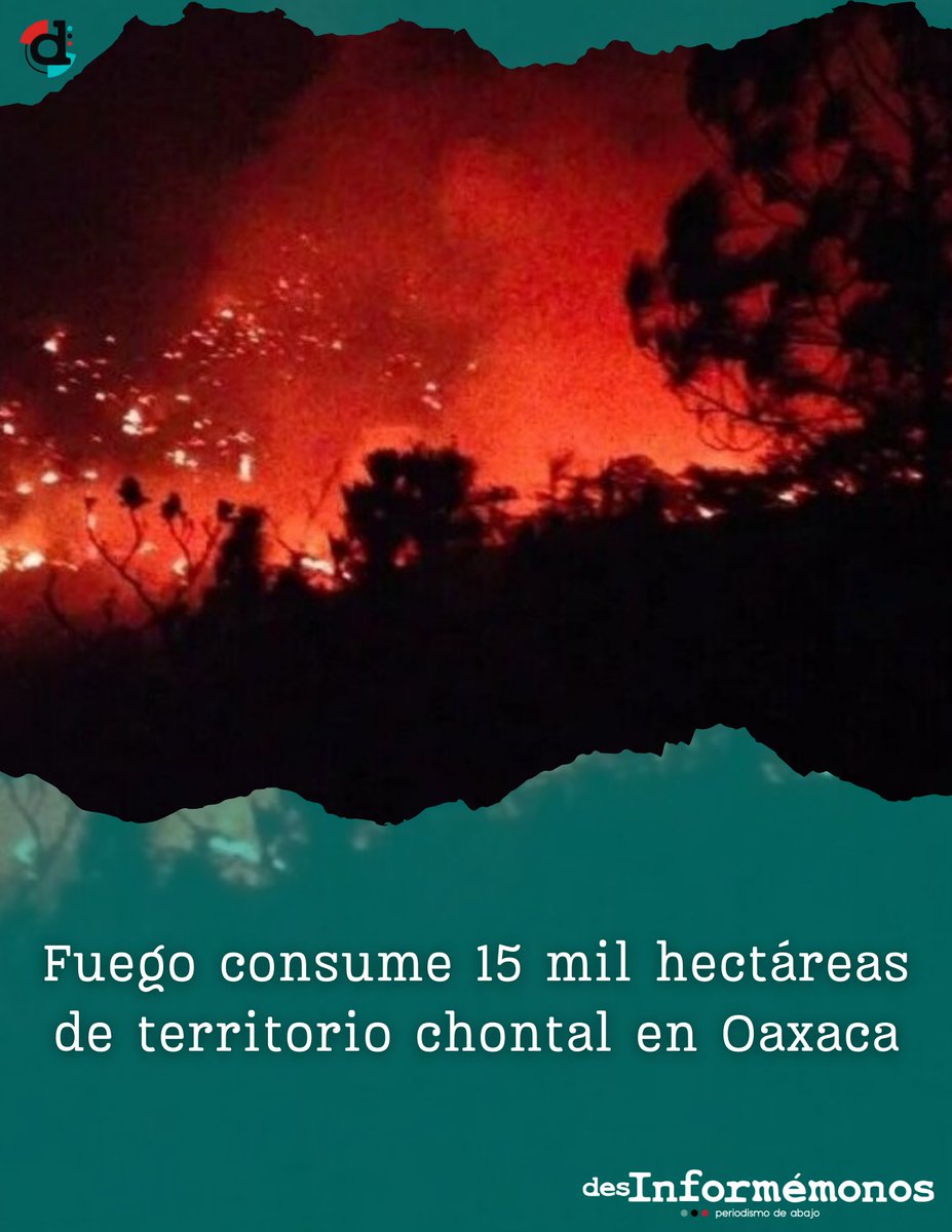 #Oaxaca 🚨| En total, entre la región chontal y la mixe-zapoteca suman 26 mil hectáreas devastadas por el fuego, sin que los gobiernos envíen hasta ahora el apoyo aéreo y terrestre para combatirlo que las comunidades han solicitado. bit.ly/3Umcq7K