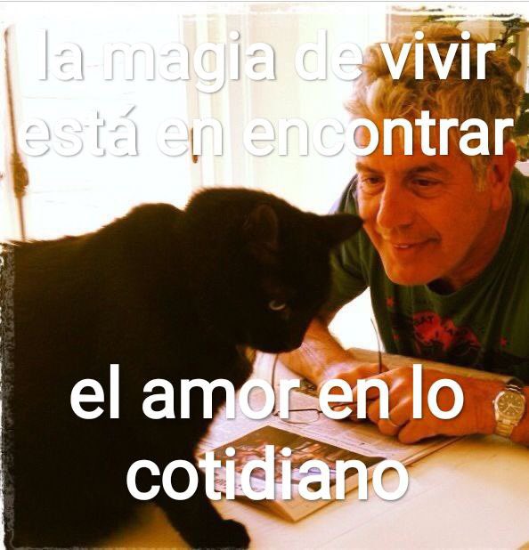 conoloracigarro's tweet photo. https://t.co/ETEzpmimgk