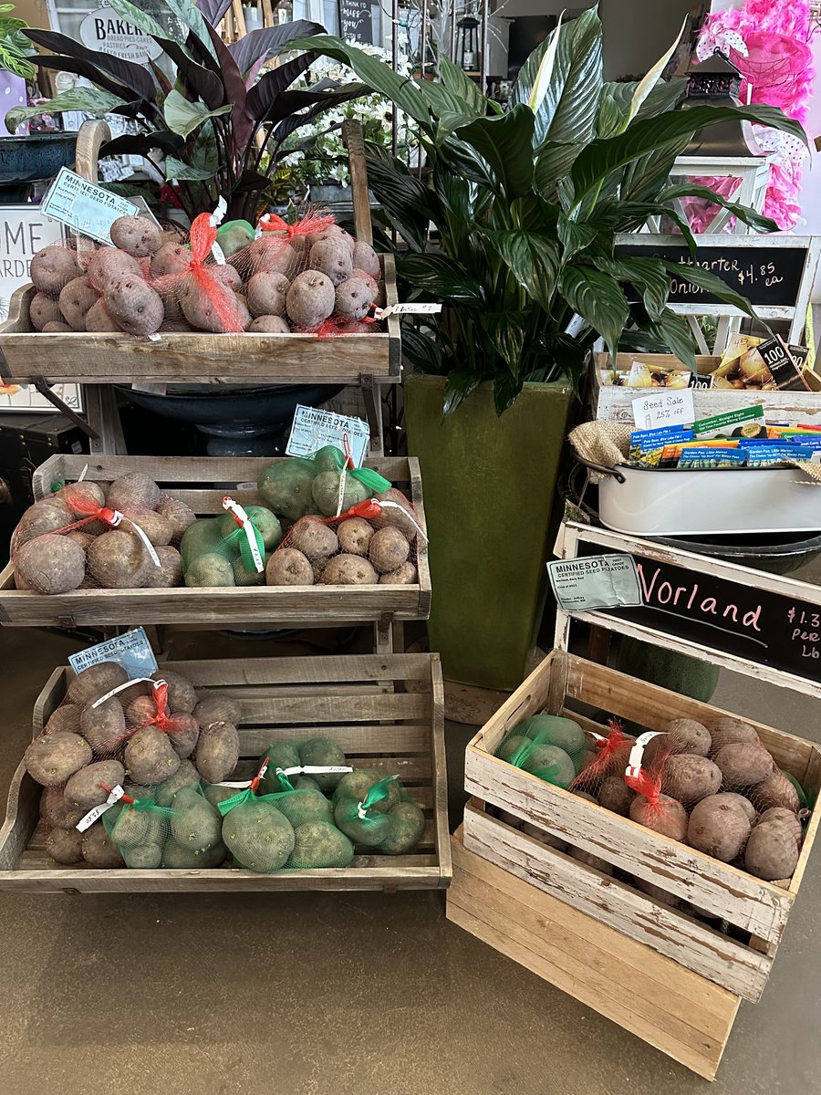 Blossom Town tweet media