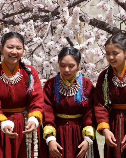 Some glimpse of one the most awaited festivals of Ladakh, #ApricotBlossomFestival at Lehdo. @incredibleindia @tourismgoi @lg_ladakh @sectourismutl @LadakhSecretary @DIPR_Leh @DIPR_Kargil