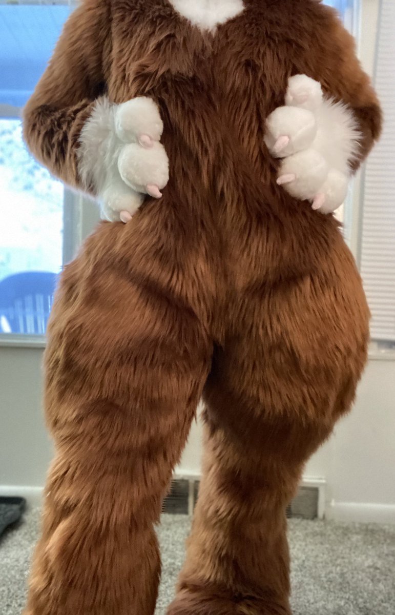 Furryfaye's tweet photo. Mama is thicc 🤤 

#firstlook #furry https://t.co/XE17T5HaWh
