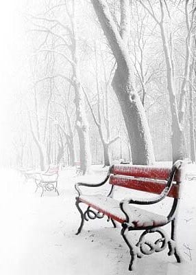 yes, you can make out the bench
emerging from the silence of snow
two pairs of footmarks lie buried
under the sheets of the past
in the hush when time stood still
the #debris of forlorn parting & the plea
have raised the leaves from their frozen sleep

#vsspoem
#OnePicPoetry #109