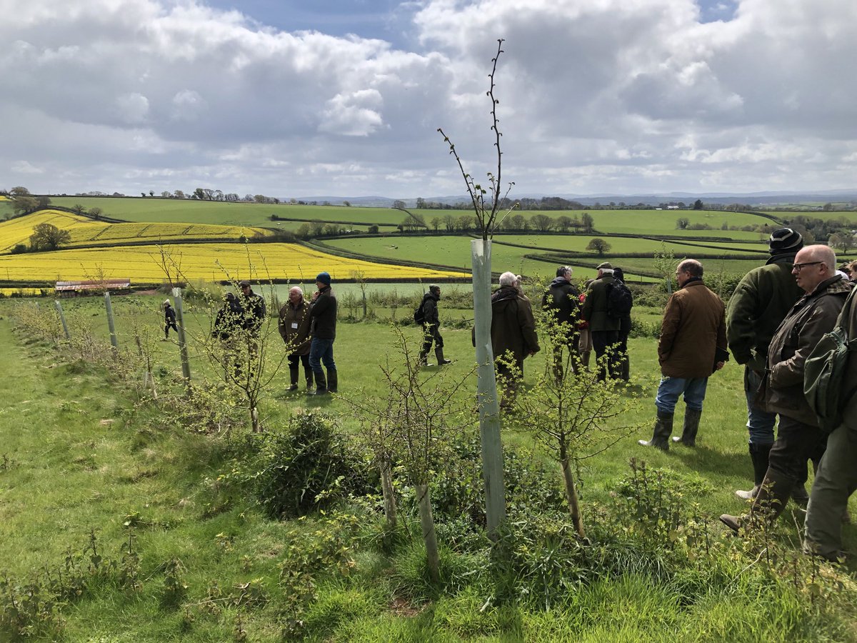 Great day discussing the benefits of agroforestry ⁦@FarmersWeekly⁩ ⁦@WoodlandTrust⁩ ⁦@ForestryComm⁩ thanks to Andy Gray for hosting. 🌳🐄🌳🐑 future proofing farm businesses.