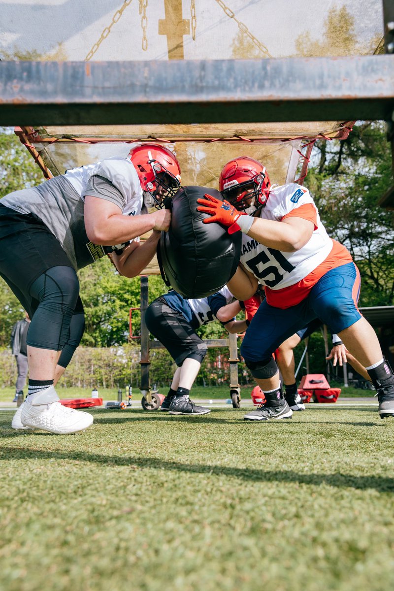 Jared Hilbers tweet media