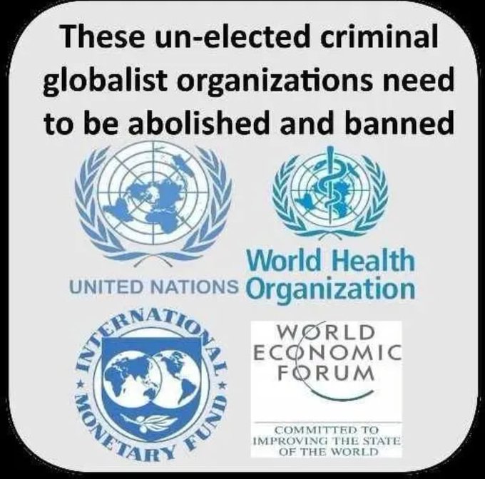 #UnitedNations #UN #WorldHealthOrganization #WHO #InternationalMonetaryFund #IMF #WorldEconomicForum #WEF #Globalists