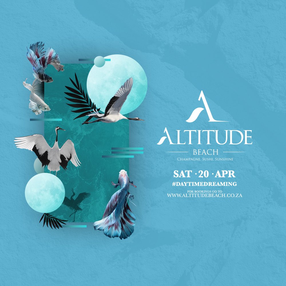 Altitude Lifestyle tweet media
