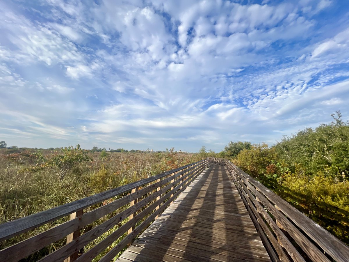 Hugh S. Branyon Backcountry Trail Repeats National Accolade: Trail again named No. 1 by USA Today’s 10Best Readers’ Choice Awards orangebeachal.gov/CivicAlerts.as…