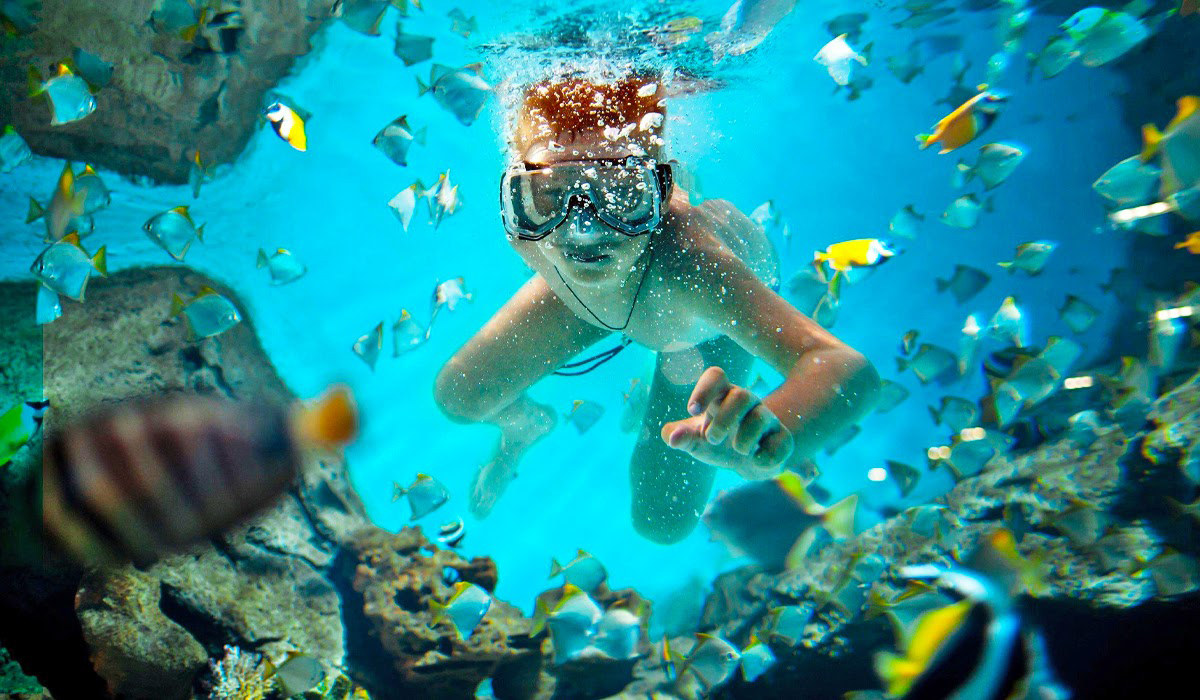 DRgotsoul's tweet image. Calling All Beach Bums:  
Your Guide To Puerto Plata's Top 5 Beaches    

Get captivated by the charm and diversity of Puerto Plata's top 5 beaches! 🇩🇴🌞🌊📷 
dominicansoul.com/beaches 

#WanderlustWednesday 
#travelblog 
#DominicanRepublic