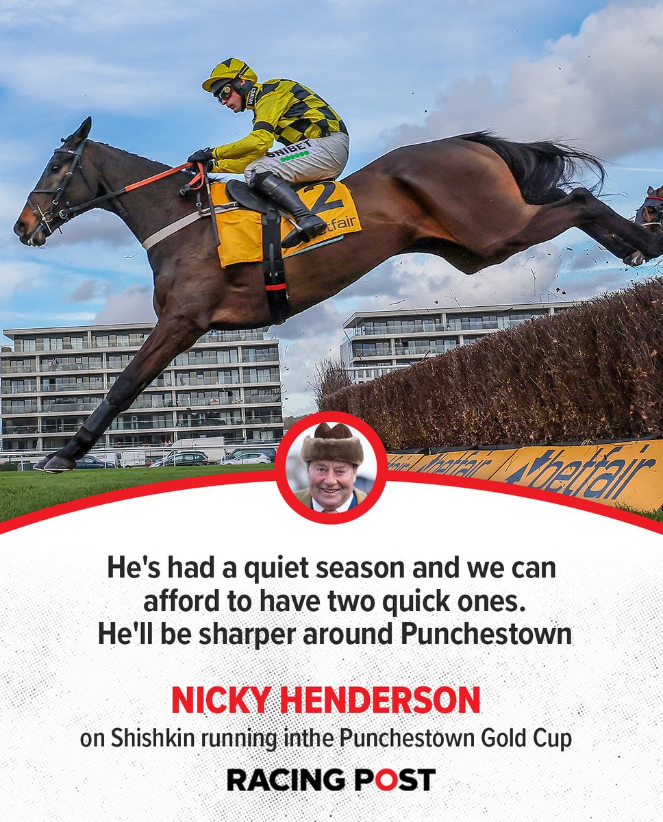 💛🖤 SHISHKIN IS ON HIS WAY TO THE PUNCHESTOWN GOLD CUP 🏆