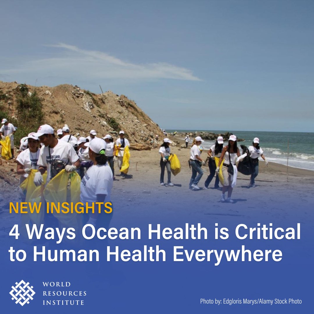 📣New research illustrates that a healthy #ocean and its biodiversity can offer critical benefits to all people — such as: 💊New medicines and technologies 🥗Nutritious and sustainable diets 🧘‍♀️Opportunities to bolster physical and mental wellbeing 🌎Support global food security…