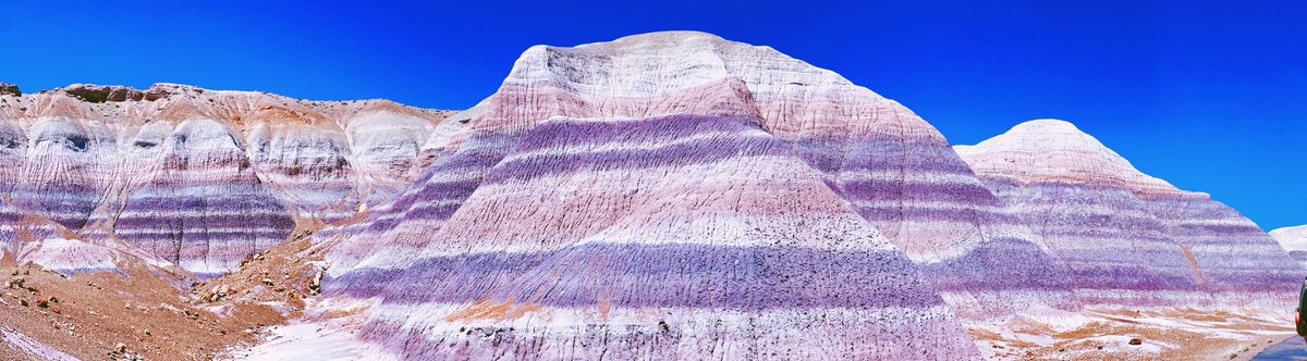 Petrified forest