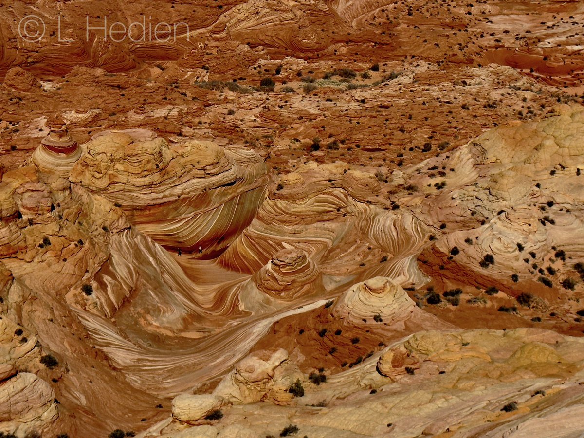 lhedien's tweet photo. Hiked π₯Ύ #TheWave π! Just an incredible place. ππ₯°. #coyotebuttes #arizona #landscape #adventure #hike #amazing #nature #geology #travel #thewavearizona #hiking #sandstone #coyotebuttesnorth #iphone #naturephotography #natgeophotos #natgeowild #natgeoyourshot @riyets @discovery https://t.co/LkXA5p3XFP