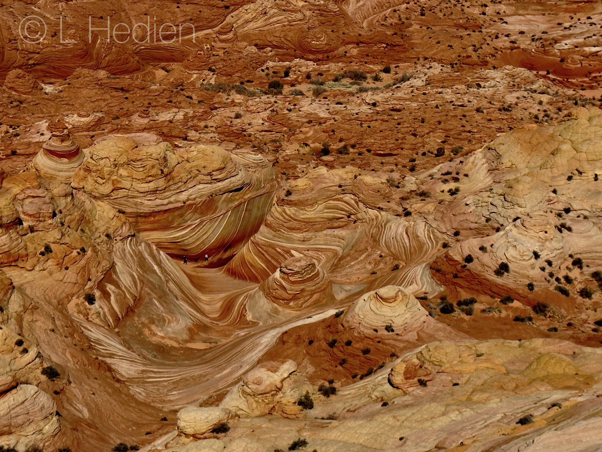 Hiked 🥾 #TheWave 🌊! Just an incredible place. 😎🥰. #coyotebuttes #arizona #landscape #adventure #hike #amazing #nature #geology #travel #thewavearizona #hiking #sandstone #coyotebuttesnorth #iphone #naturephotography #natgeophotos #natgeowild #natgeoyourshot @riyets @discovery