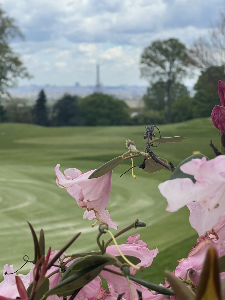 Jim Croxton tweet media