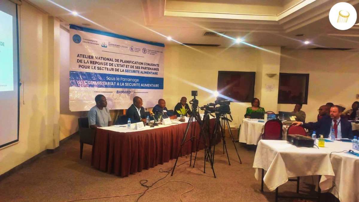 .@WFP_Mali & @FAOMali alertent sur la crise alimentaire au #Mali Plus d’1.300.000 personnes seront en crise alimentaire entre juin et septembre 2024 selon les résultats du Cadre Harmonisé sur la situation alimentaire. @StudioTamani >>> bit.ly/3U0NjWD