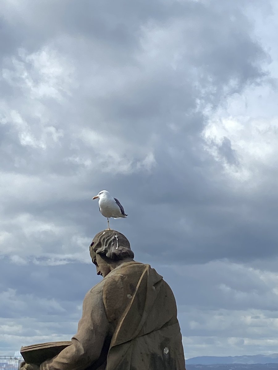 Gull on one leg. On a statue. Edinburgh.