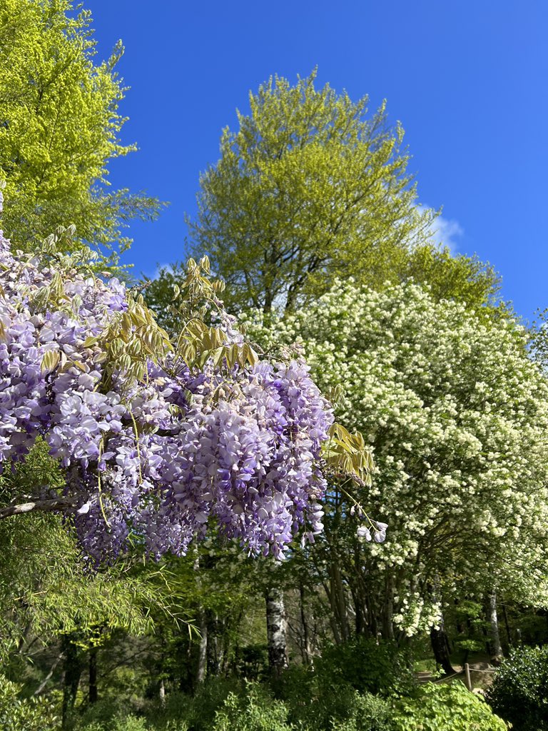 Parc Oriental tweet media