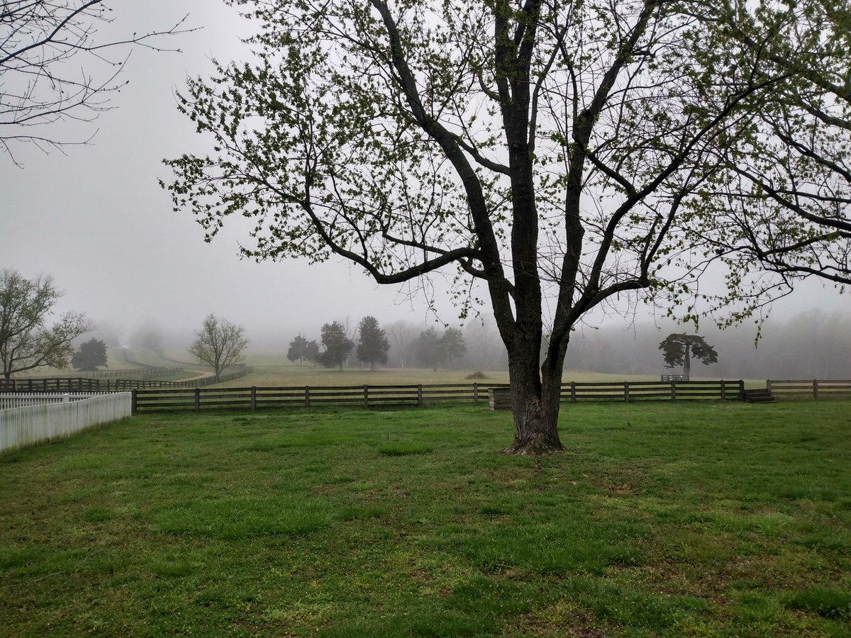 #StillnessAtAppomattox: Looking west on a recent foggy morning in the village of Appomattox Court House. #CivilWar #FindYourPark #APX159