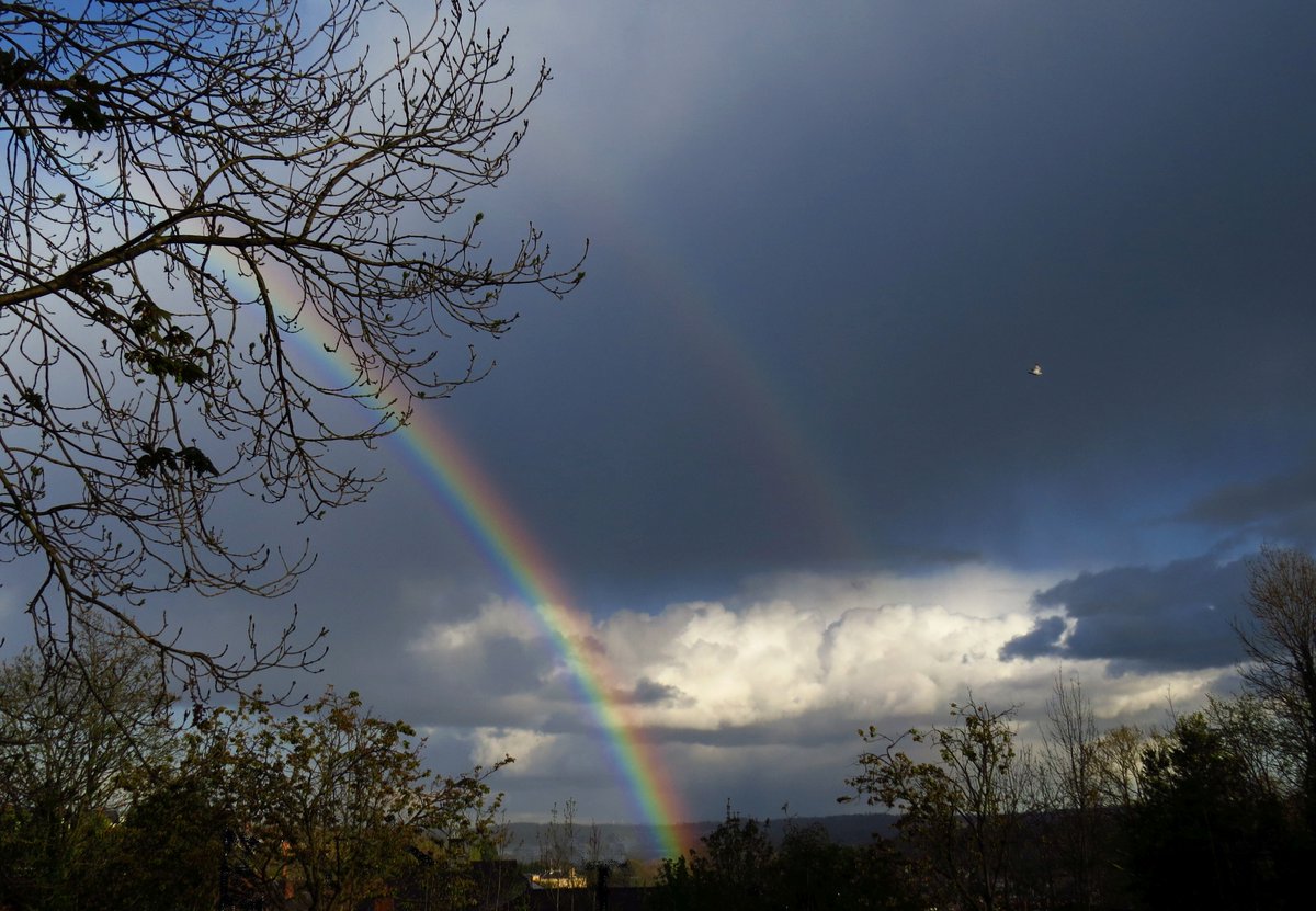 angegarrod's tweet image. Double #Rainbow today #ukweather  #opticaleffects  #atmosphericoptics