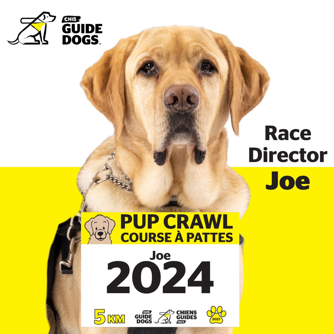 Pup Crawl is back! You have from April 17 to May 31 to complete your 5k in support of CNIB Guide Dogs — and thanks to Mary and John Crocker, your fundraising efforts will be MATCHED up to $50,000! Let's make every step count! Register today at cnib.ca/pupcrawl