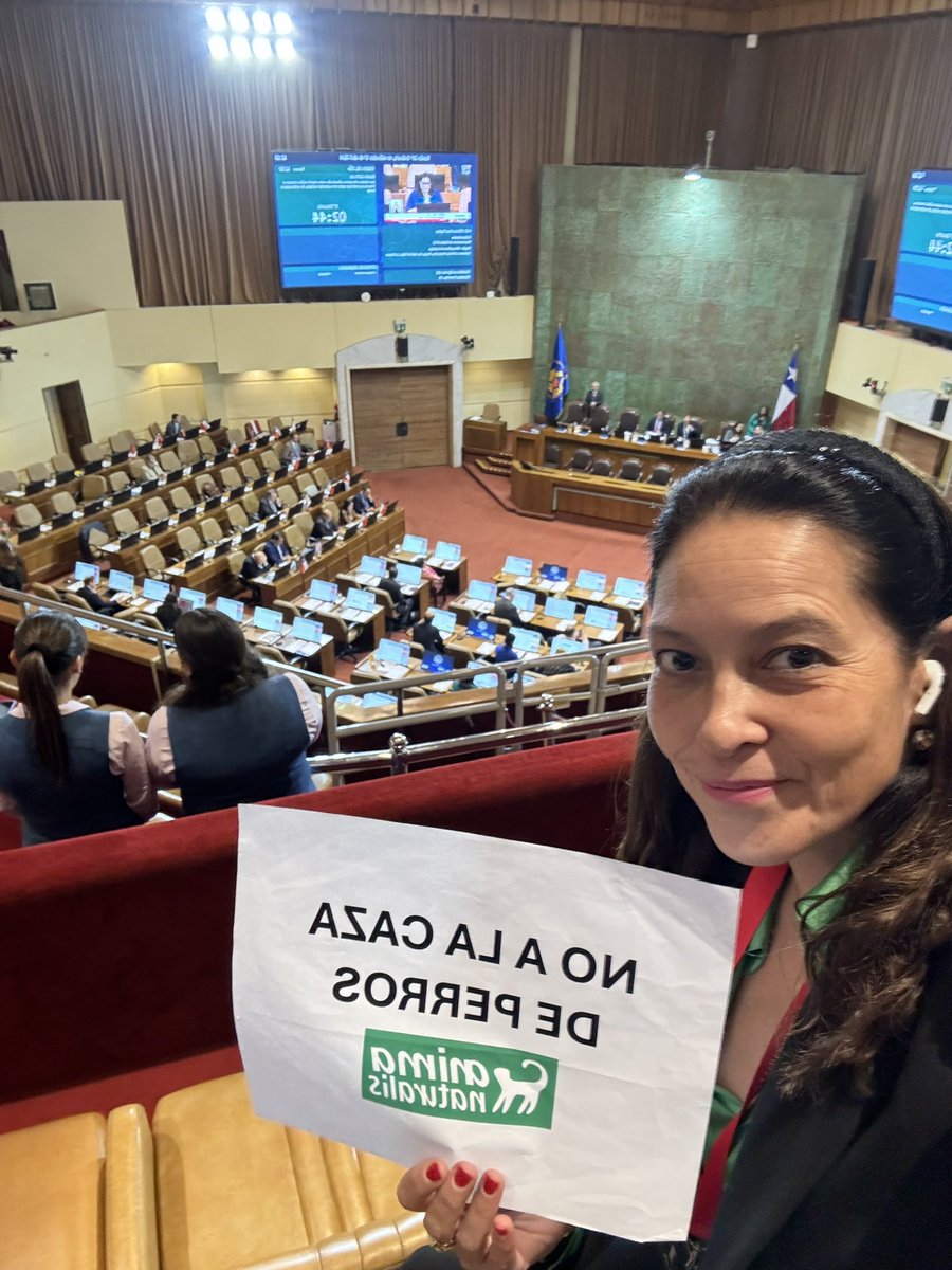 Chile ha rechazado la caza de perros . 
El animalismo es político! 
Gracias a todos y todas los que alzaron su voz y comprometieron su voto. 
Chile avanza en paz con los animales. 
Mejores soluciones habrán para la sobrepoblación de perros abandonados. Es un desafío político que