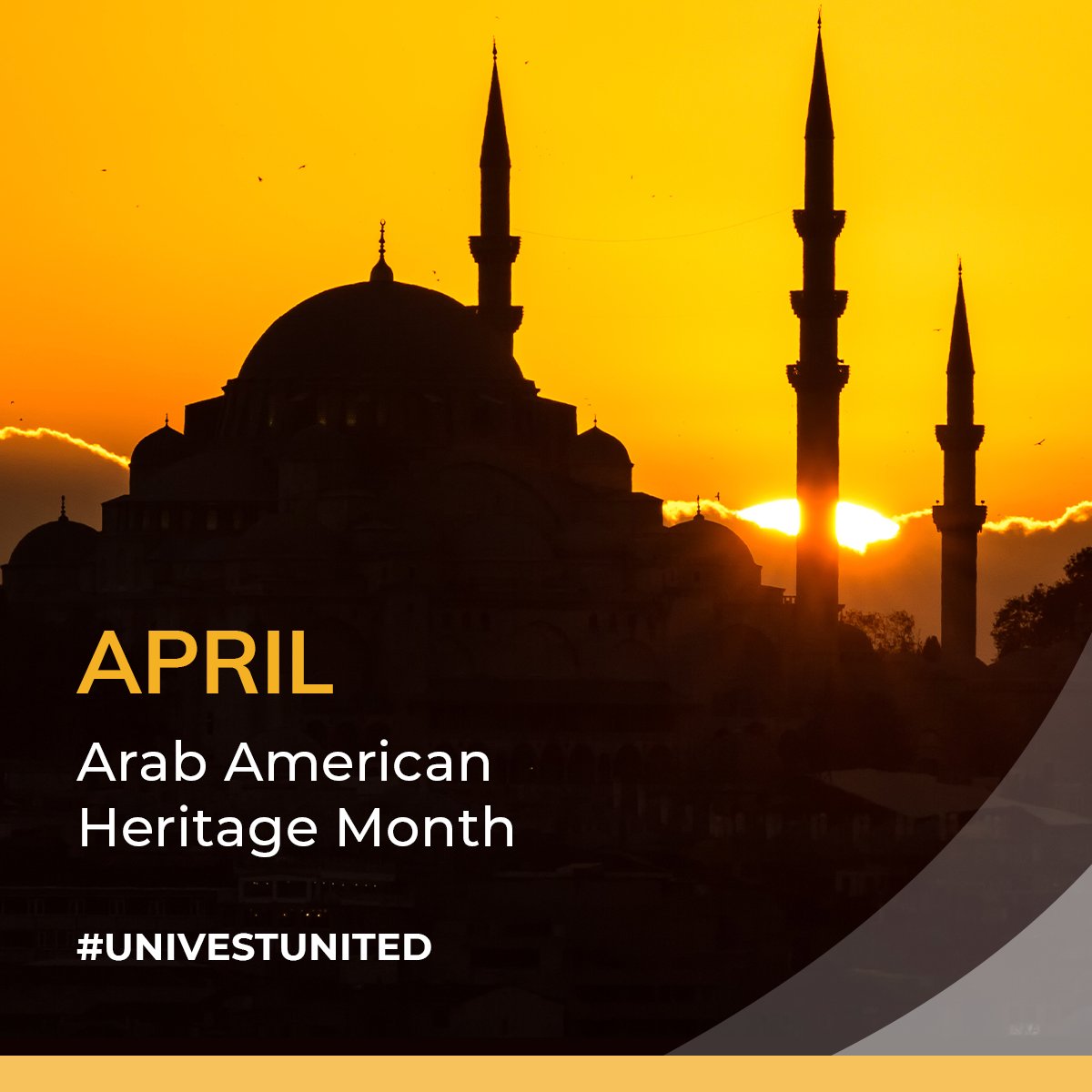 April is Arab American Heritage Month, a time to recognize the rich culture, traditions and achievements of Arab Americans and appreciate the diverse tapestry of our community. #UnivestUnited #ArabAmericanHeritageMonth
