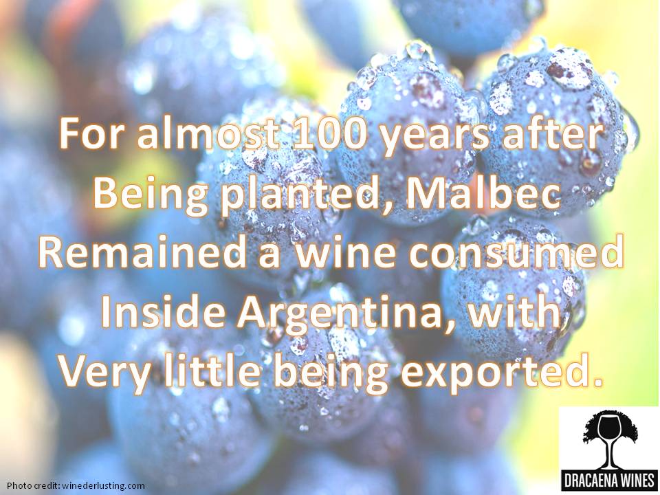 Happy #WorldMalbecDay ! @BlackWineLovers @ChristopherB070 @kimmyMmead @drunk_hemingway @imnotwining @KatherineWyss @girlslovewinexo @somm_bitch @wino32oregon @WineDineVine