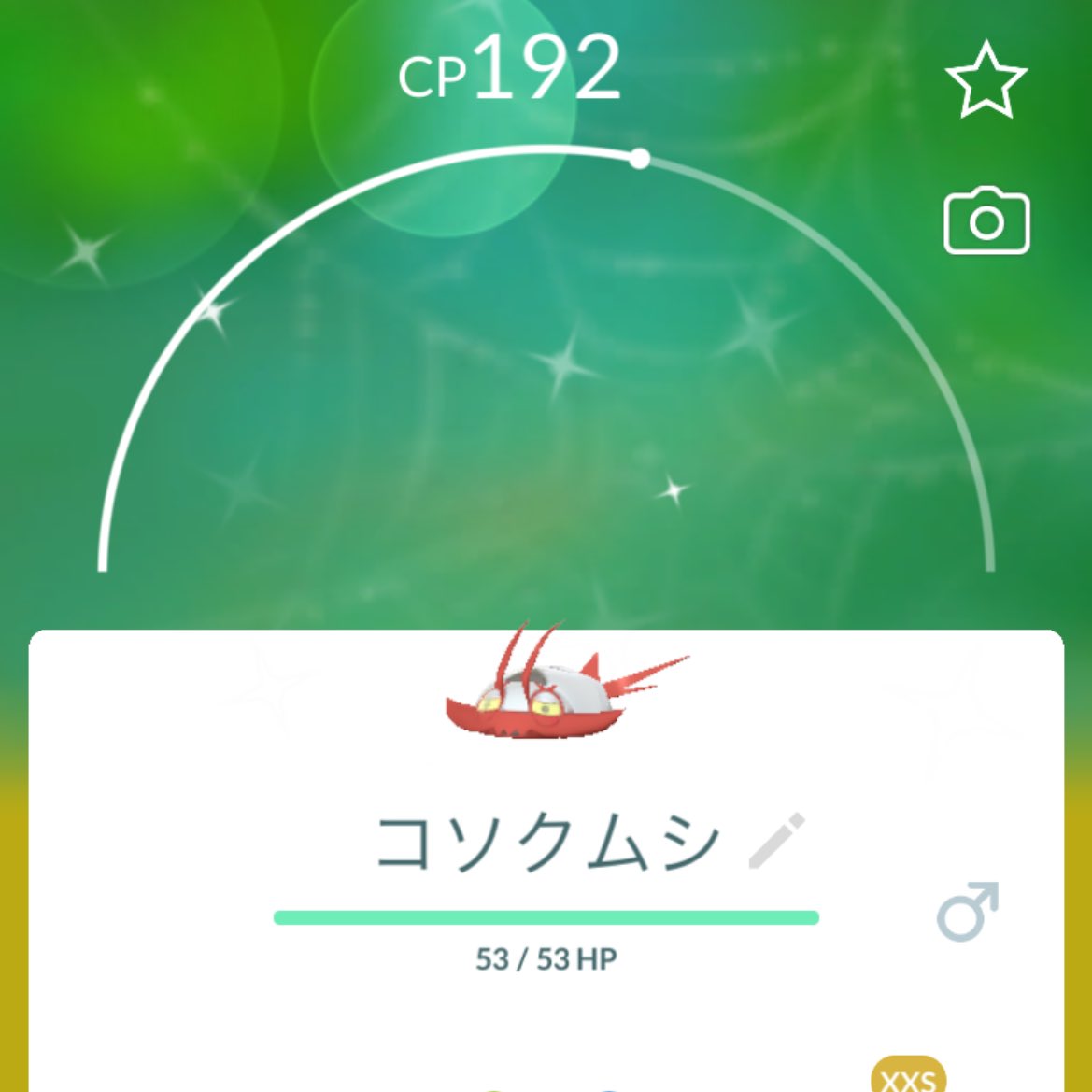 GO17466167's tweet photo. 虫イベントとサイズサプライズ楽しかったなあ🥹🩷🌱
#ポケモンGO
#pokemonGO https://t.co/OhEjbZab8A