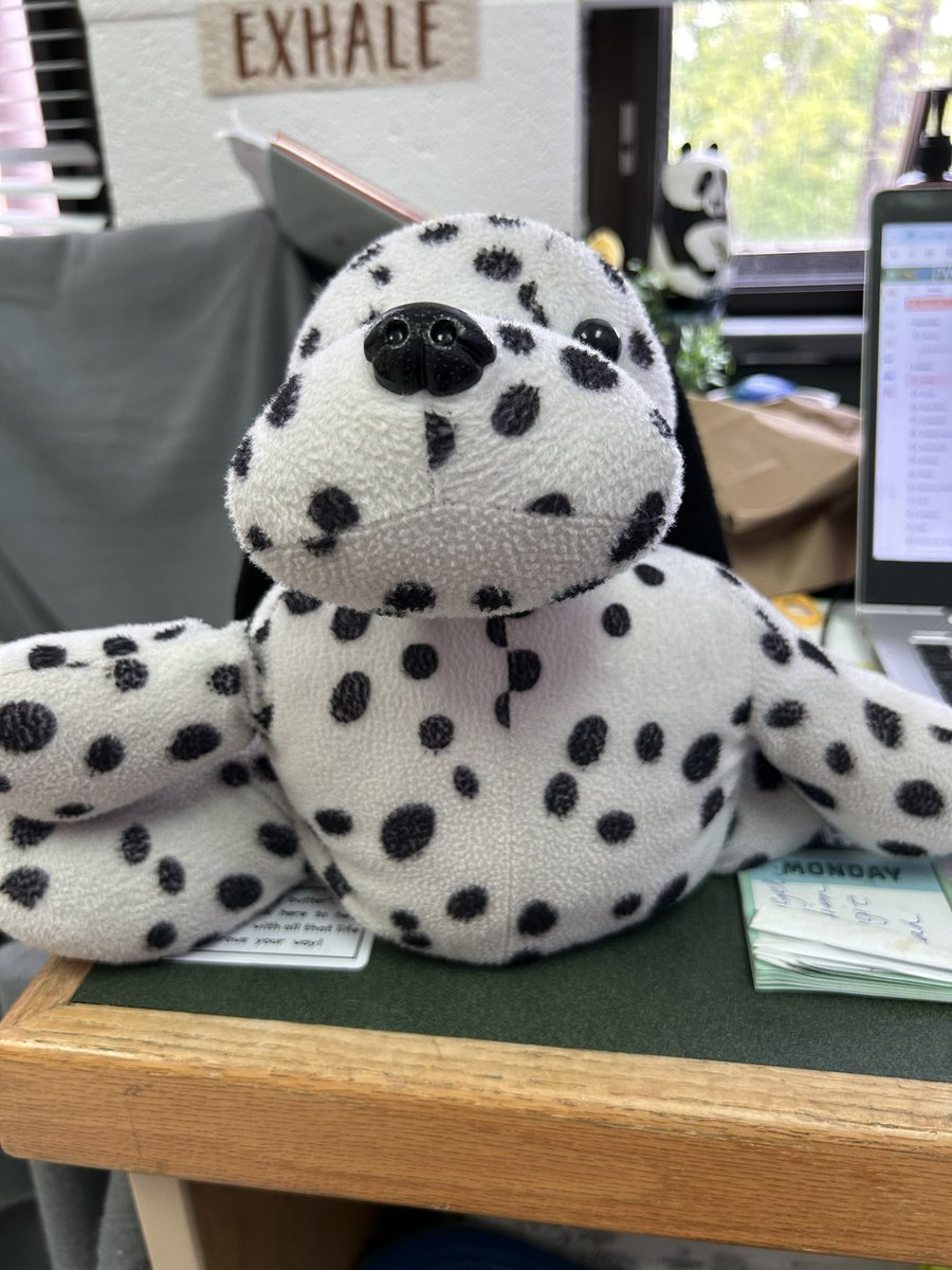 MsTracy_PSC's tweet image. As a ESC we do many things. Today checking in w/ a student who needed 2 talk abt big feelings &amp;amp; another little one let us know his favorite weighted stuffy needed some fixing.  Have a sewing kit in office and make all smile.  Best use of time 😇 #schoolcounselorlife #useoftime