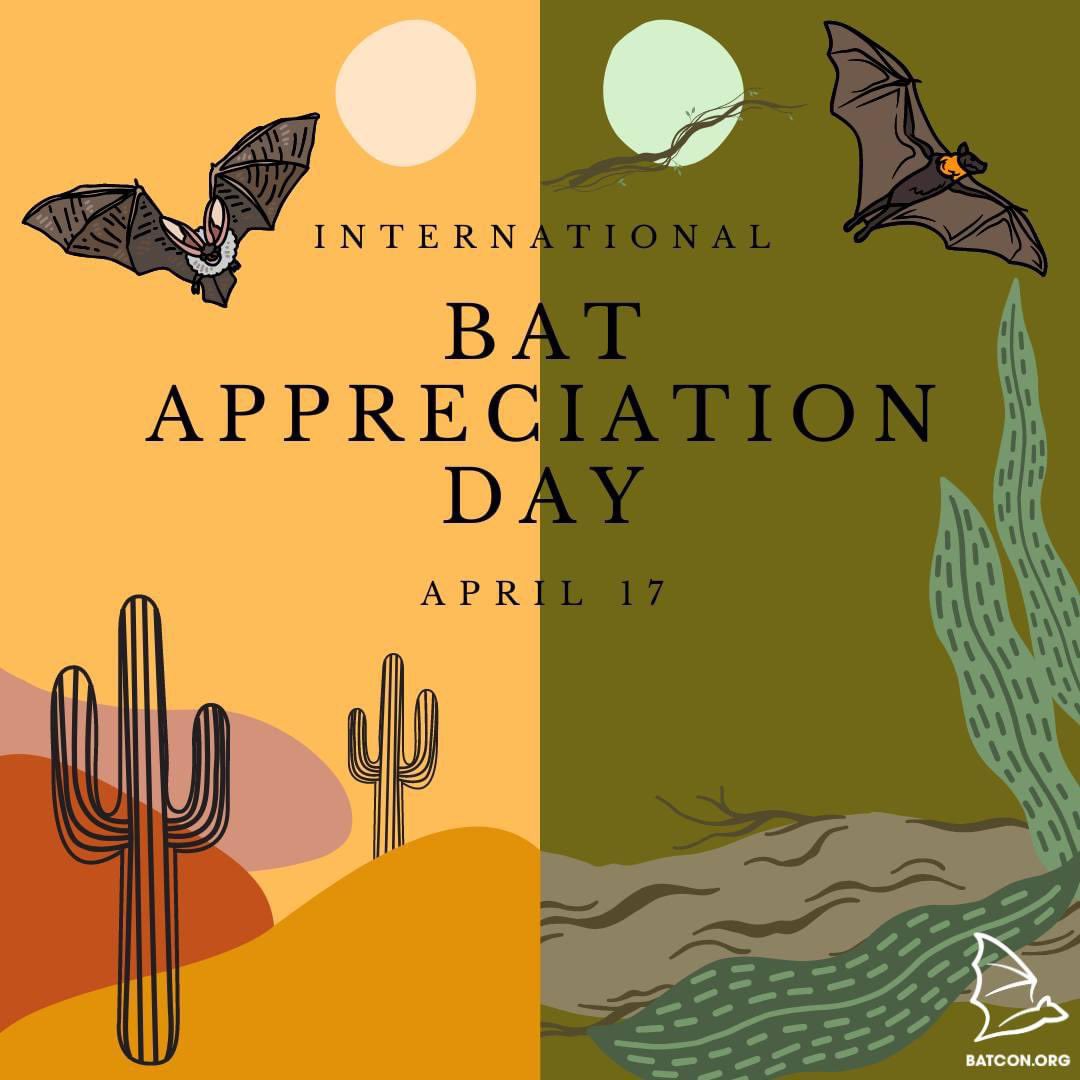 Bat day!! #batconservation #BatAppreciationDay