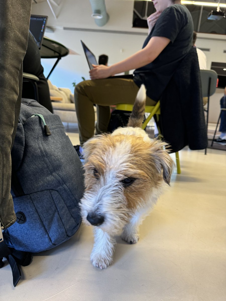 Por suerte en <a href="/runroom/">Runroom</a> nos permiten venir con nuestro smells detector para re-factorizar el MVC💩