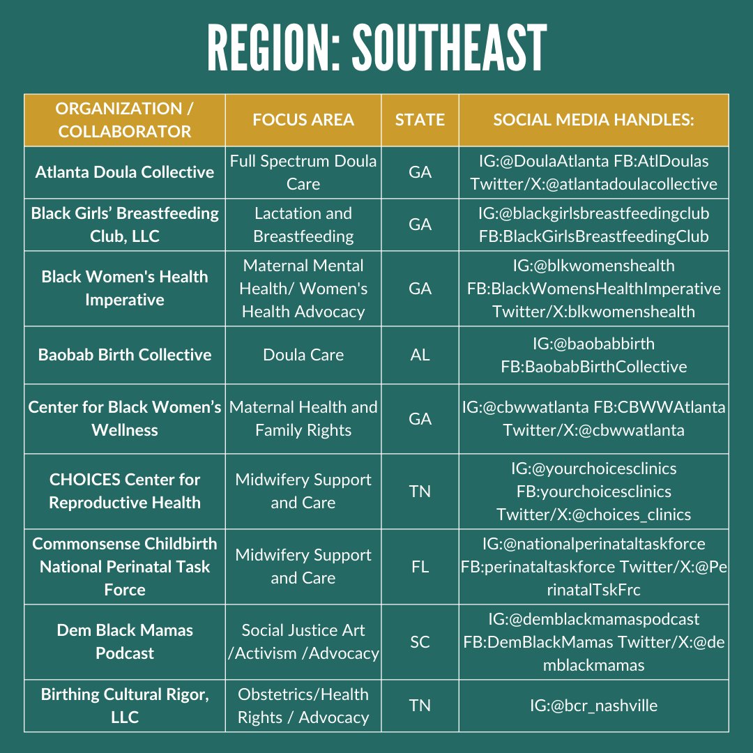 Today is the last day of #BMHW24! 

Swipe to see the amazing work of our Alliance partners in your community through #BMHInYourNeighborhood! From doula care to maternal health, our partners lead the way in birth &amp; reproductive justice. Thank you all for your dedication!