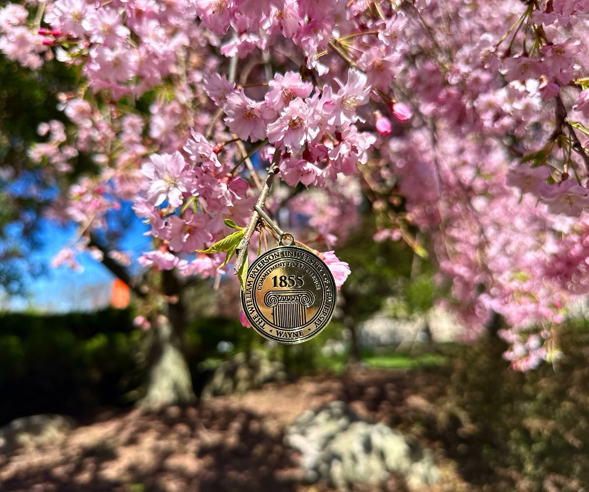 🎓Got your #WPUNJ2024 outfit ready? You can show your ✨ Pioneer spirit ✨by contributing $20.24 to the 2024 Senior Class Gift 🧡 and add a little ✨ to your fit 😉 receive an exclusive Medallion for commencement and make a huge impact🌟 🧡wpunj.scalefunder.com/cfund/project/…