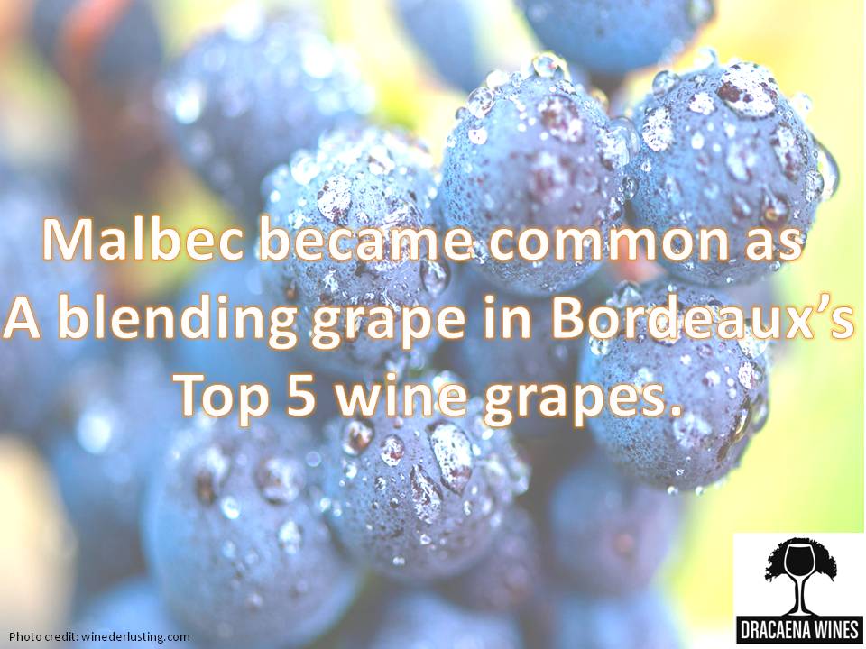 Happy #WorldMalbecDay ! @glorious_grape @CR_from_scratch @millennialwhine @OregonWino33 @MarkCapra @della_vines @WildEpitome @RaptorWines @RealSommLife @SommQA @FudgelSecurity