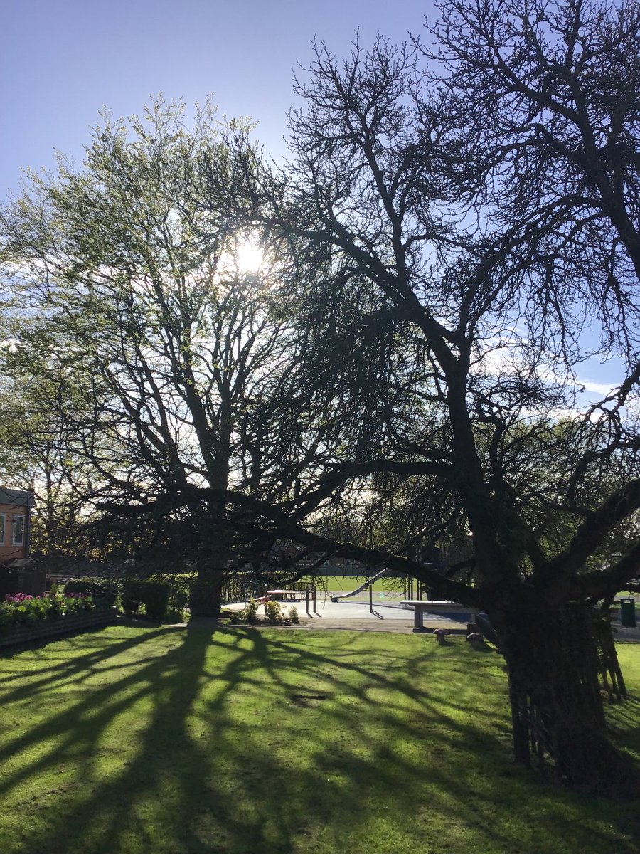 Could that actually be sunshine heralding the start to our summer term?! Wonderful to welcome everyone back including all our new families! ⁦<a href="/QueensSchoolPA/">QSPA</a>⁩ ⁦<a href="/QueensLowerSch/">Queen's Lower School</a>⁩