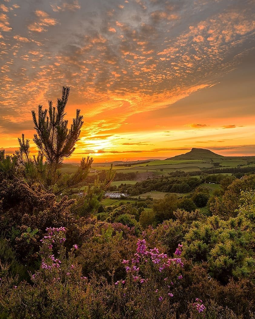 Roseberry Topping ⛰️ 📸 John Stead