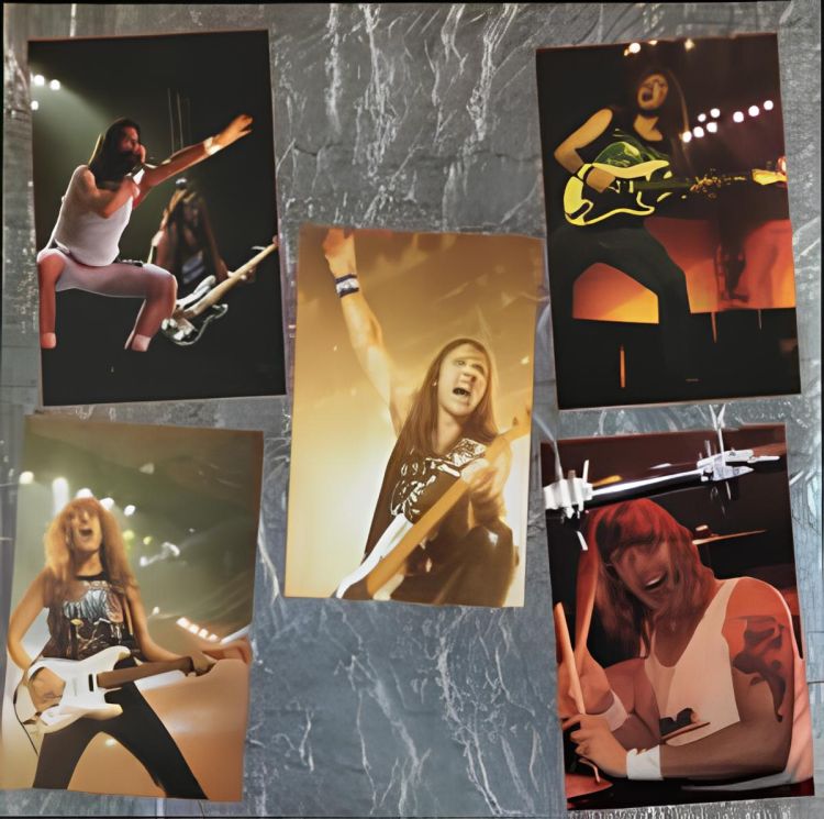 BEHIND THE VEIL ZINE tweet media